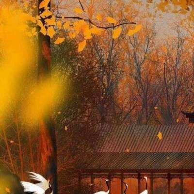 闪烁之光7723客户端下载